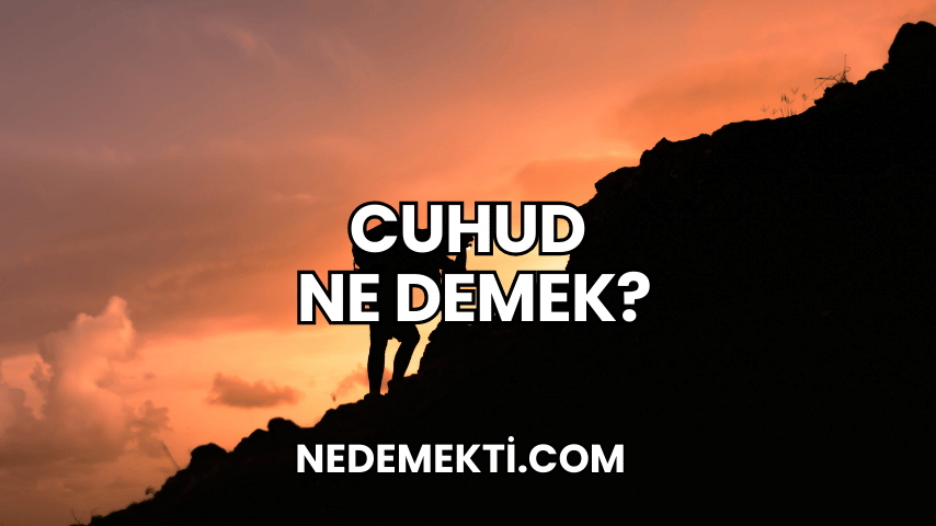 Cuhud Ne Demek?