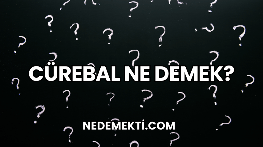 Cürebal Ne Demek?