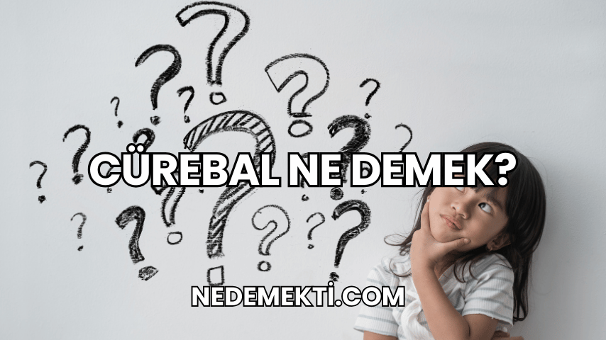 Cürebal Ne Demek?