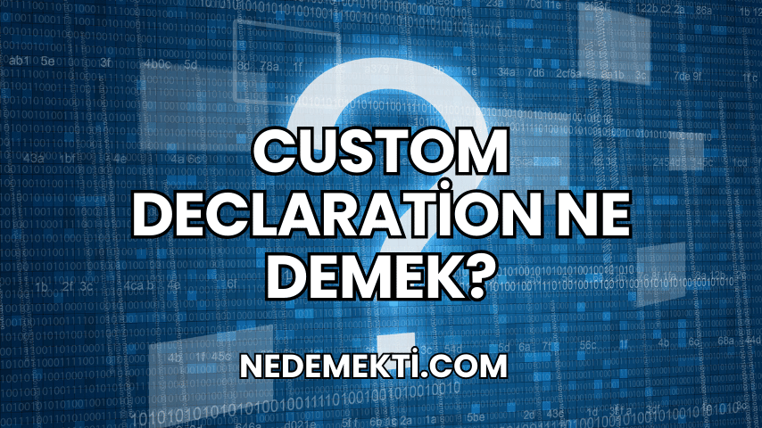 Custom Declaration Ne Demek?