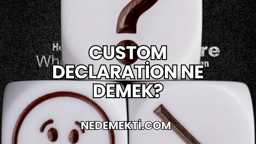 Custom Declaration Ne Demek?