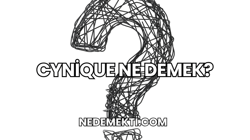 Cynique Ne Demek?