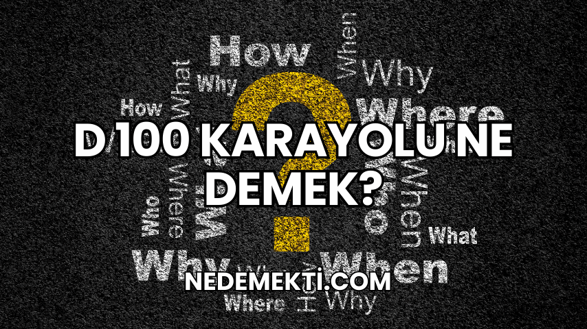 D 100 Karayolu Ne Demek?