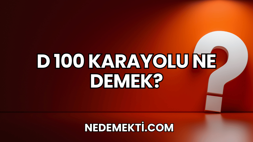 D 100 Karayolu Ne Demek?