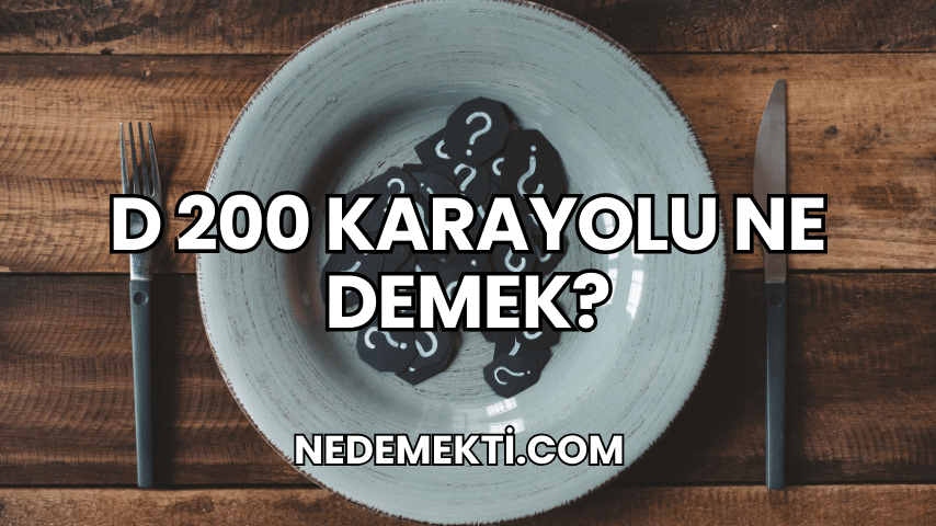 D 200 Karayolu Ne Demek?