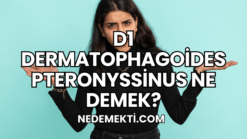 D1 Dermatophagoides Pteronyssinus Ne Demek?