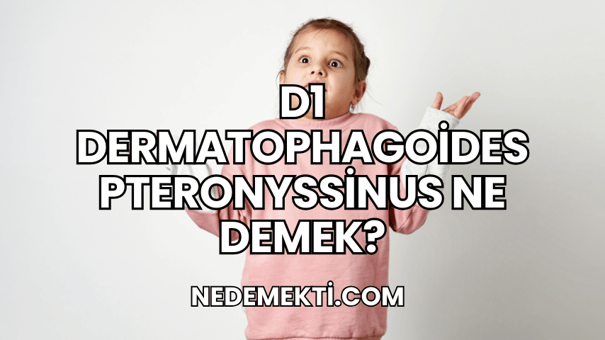 D1 Dermatophagoides Pteronyssinus Ne Demek?