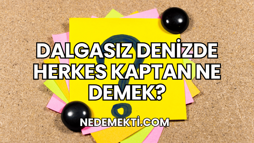 Dalgasız Denizde Herkes Kaptan Ne Demek?