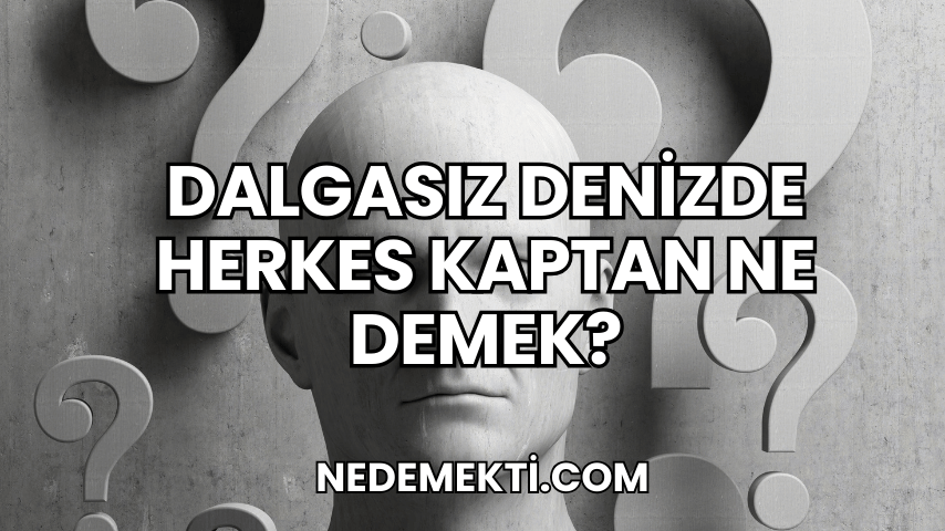 Dalgasız Denizde Herkes Kaptan Ne Demek?