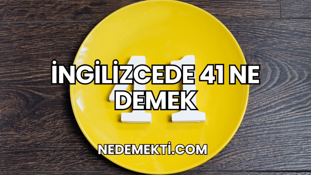 İngilizcede 41 Ne Demek