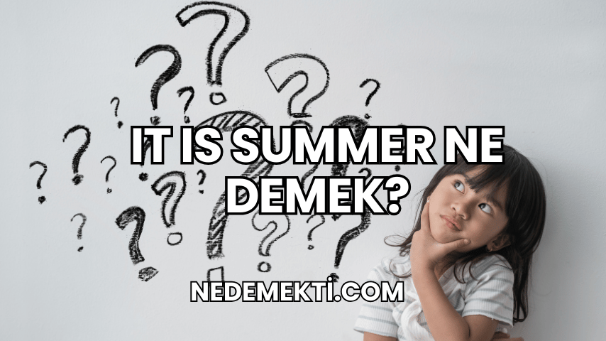 It Is Summer Ne Demek?