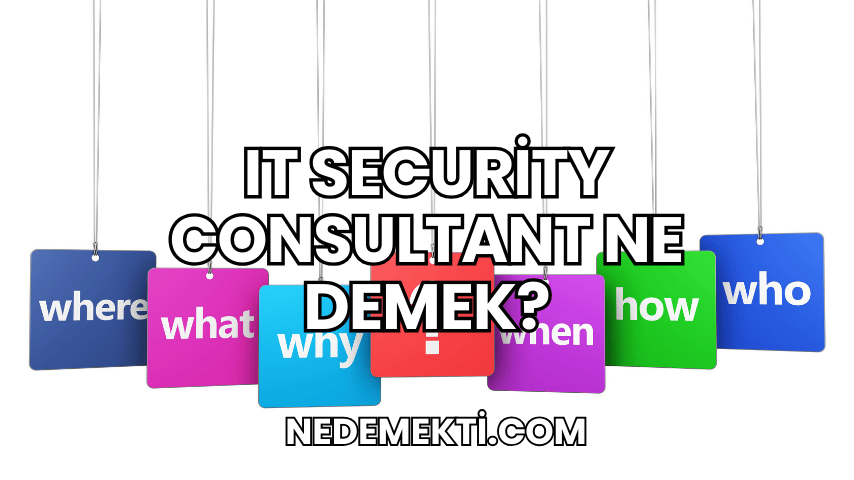 It Security Consultant Ne Demek?