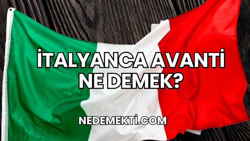 İtalyanca Avanti Ne Demek?