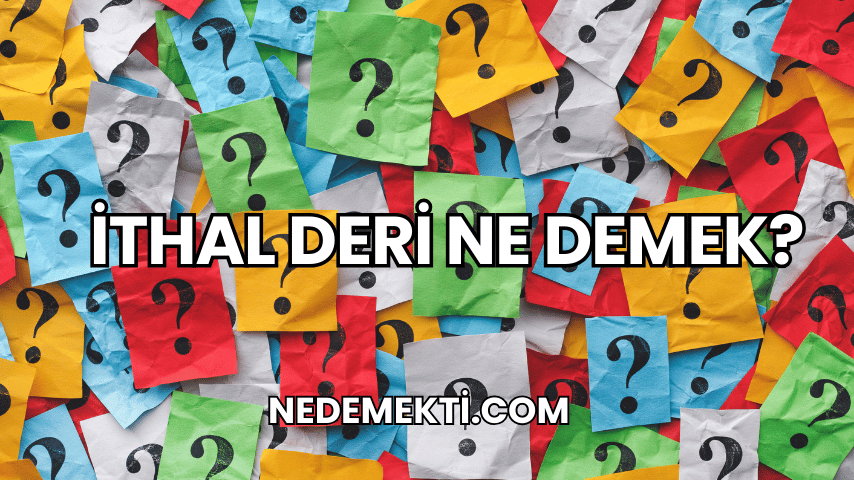 İthal Deri Ne Demek?