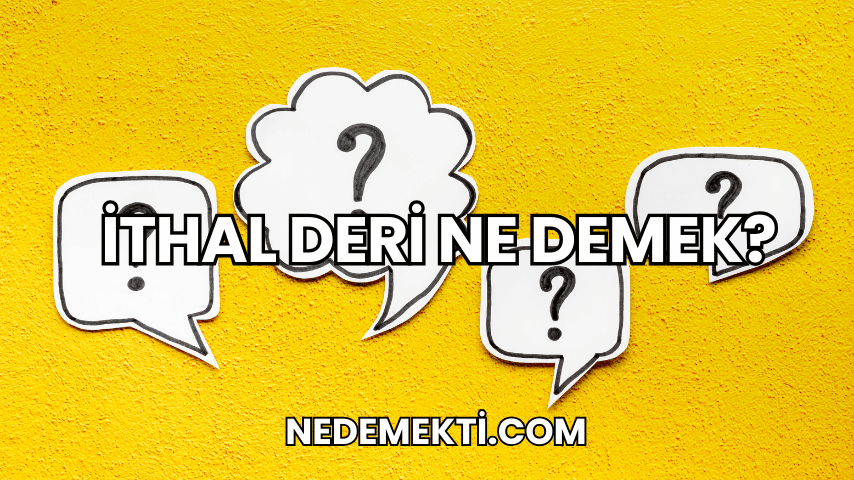 İthal Deri Ne Demek?