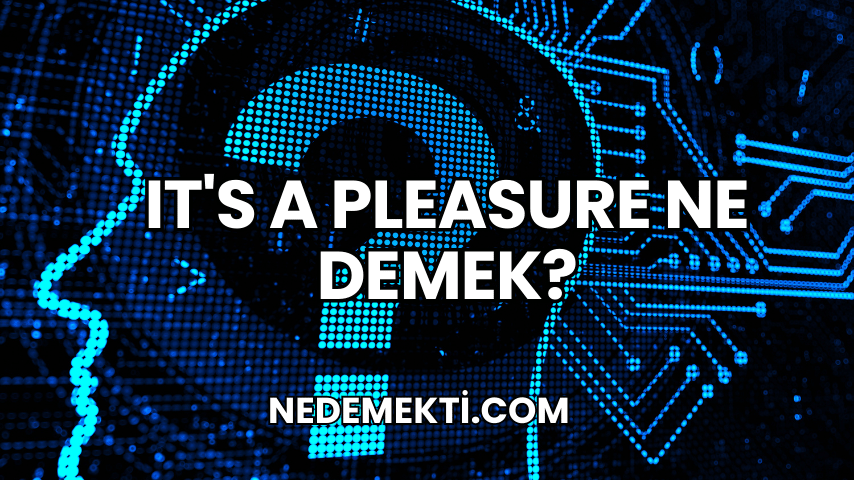 It's a Pleasure Ne Demek?