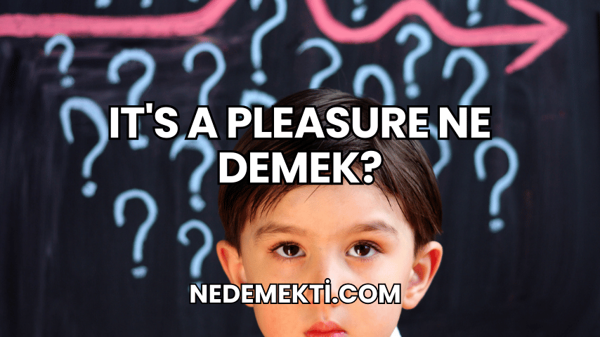 It's a Pleasure Ne Demek?