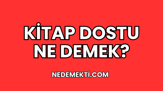 Kitap Dostu Ne Demek?