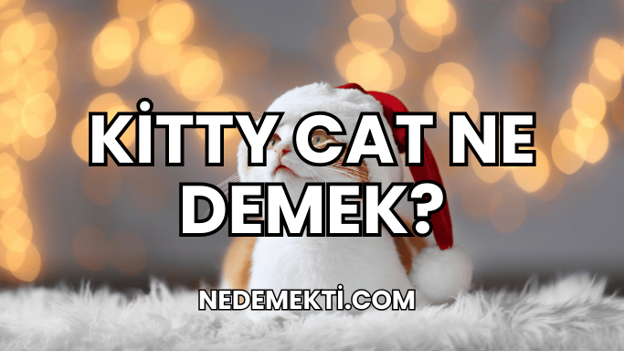 Kitty Cat Ne Demek?