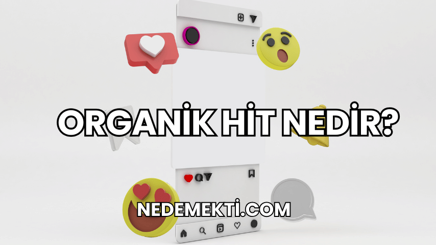 Organik Hit Nedir?