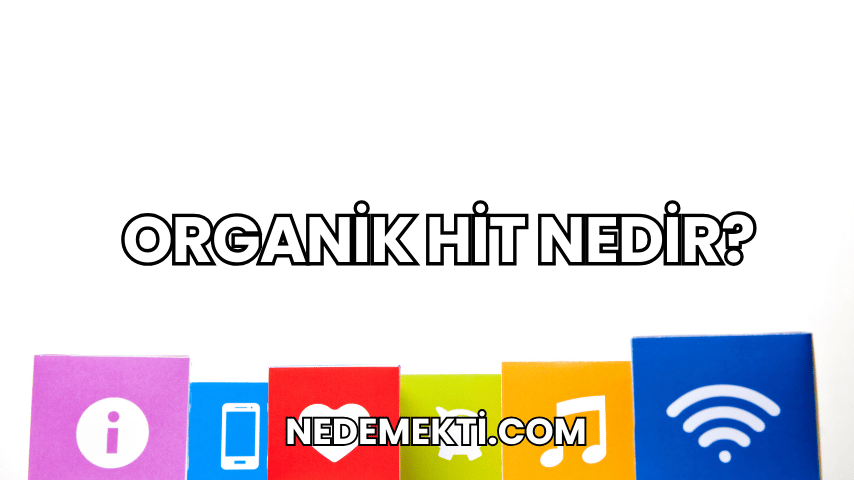 Organik Hit Nedir?