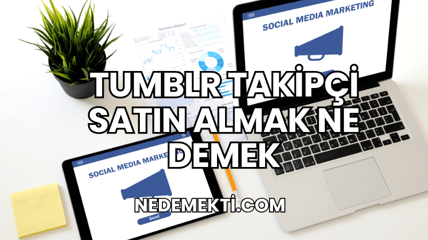 Tumblr Takipçi Satın Almak Ne Demek