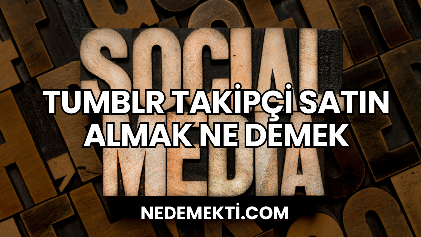 Tumblr Takipçi Satın Almak Ne Demek