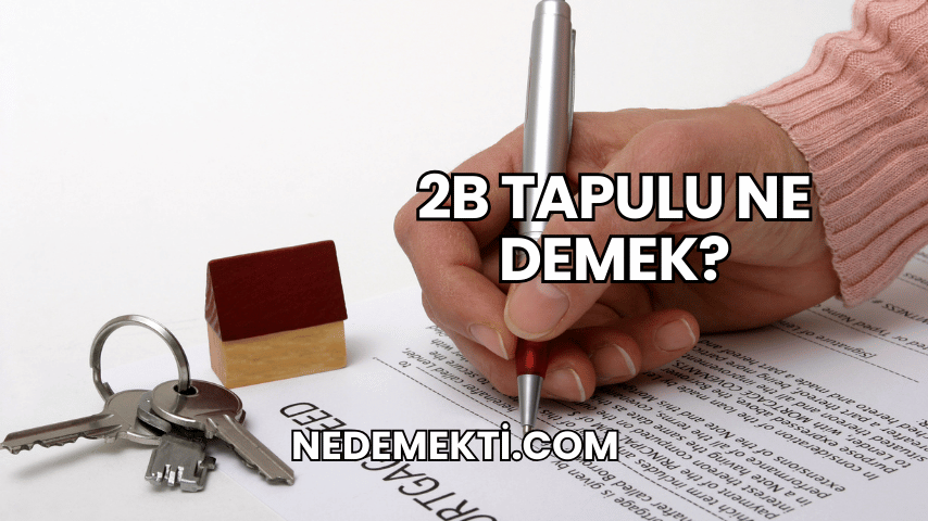 2B Tapulu Ne Demek