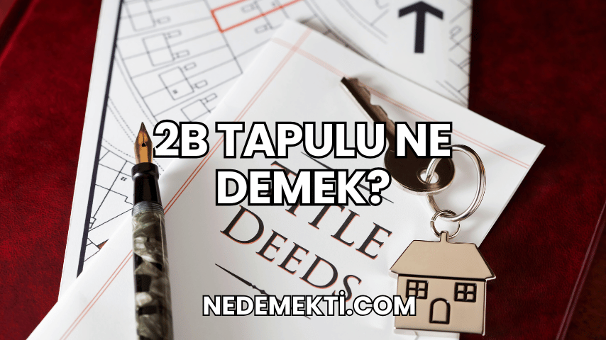 2B Tapulu Ne Demek