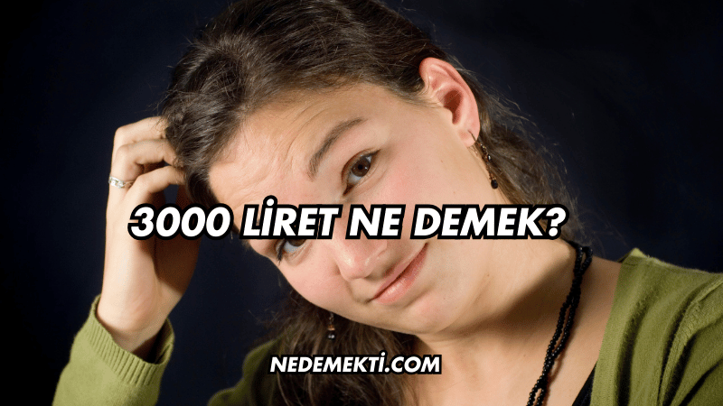 3000 Liret Ne Demek?