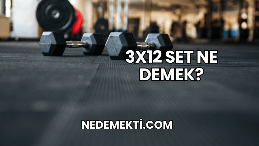 3x12 Set Ne Demek?