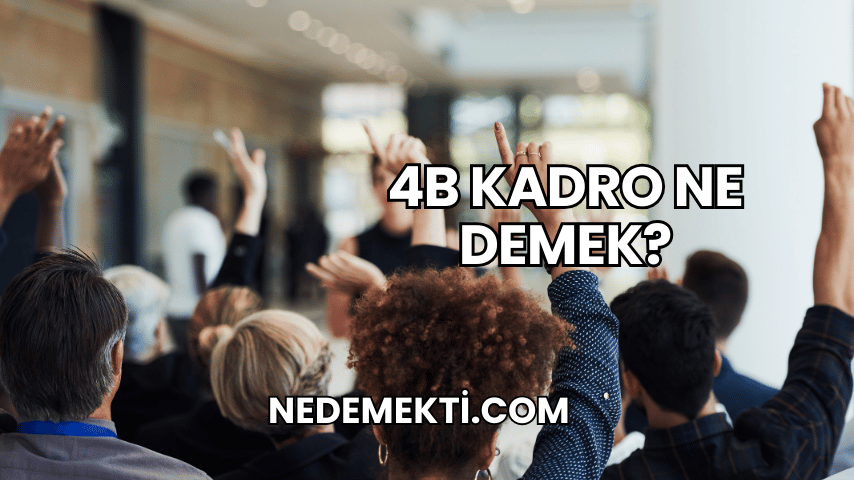 4B Kadro Ne Demek?