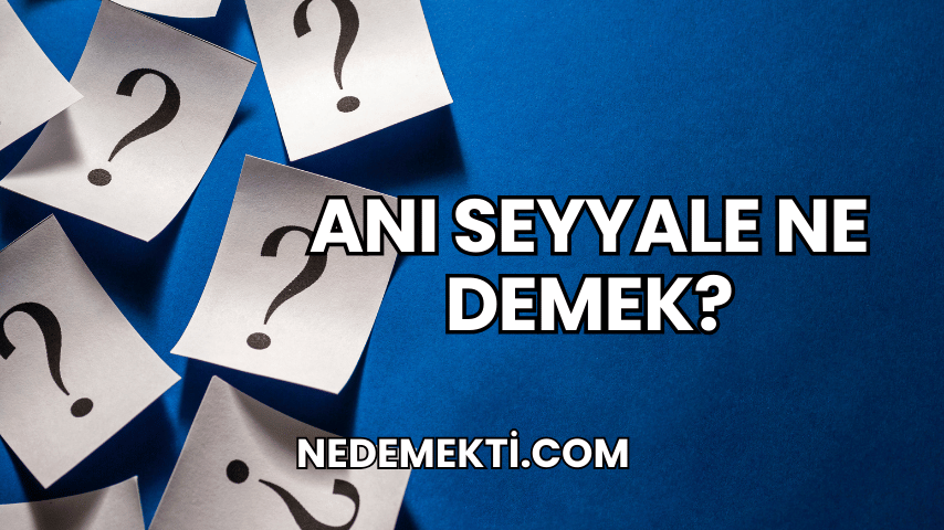 Anı Seyyale Ne Demek?