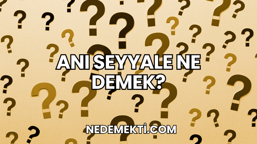 Anı Seyyale Ne Demek?