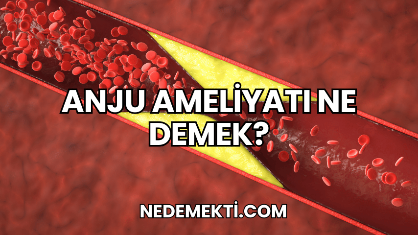 Anju Ameliyatı Ne Demek?