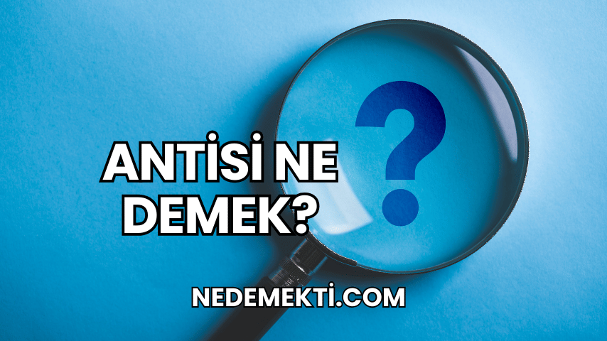 Antisi Ne Demek?