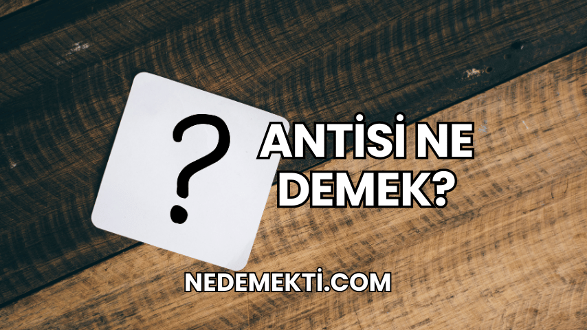 Antisi Ne Demek?