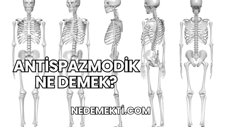 Antispazmodik Ne Demek?