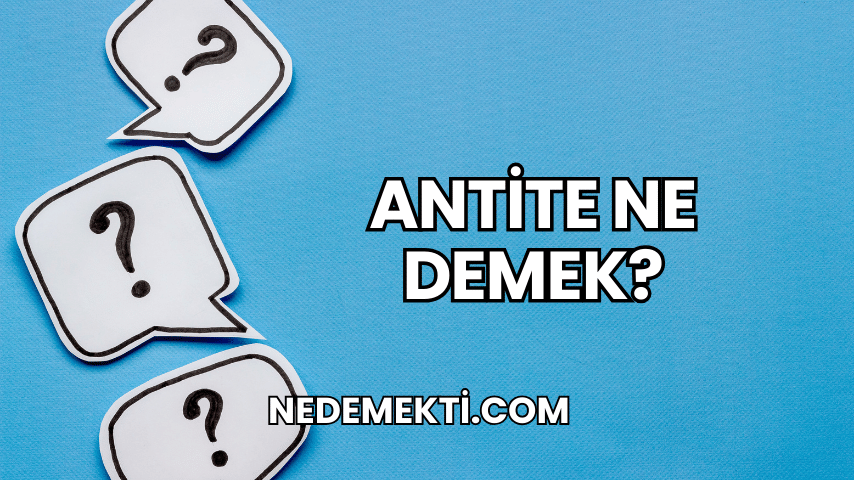 Antite Ne Demek?