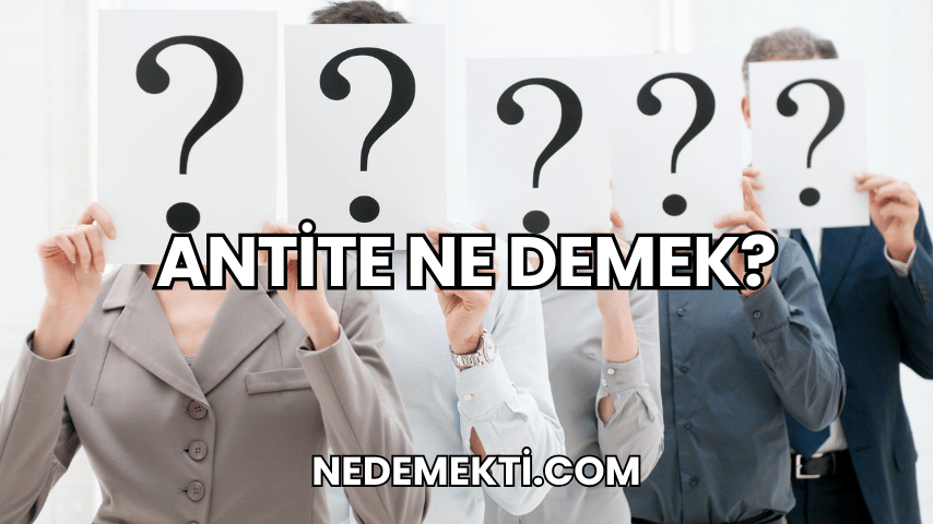 Antite Ne Demek?