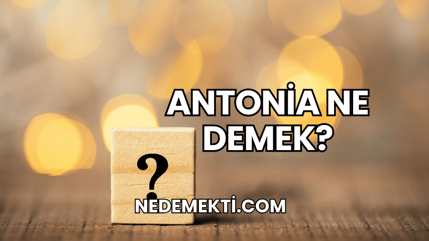 Antonia Ne Demek?