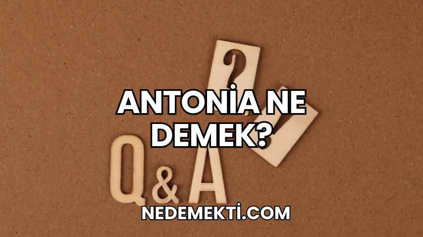 Antonia Ne Demek?