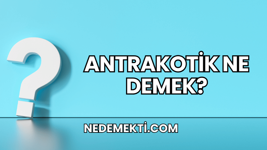 Antrakotik Ne Demek?