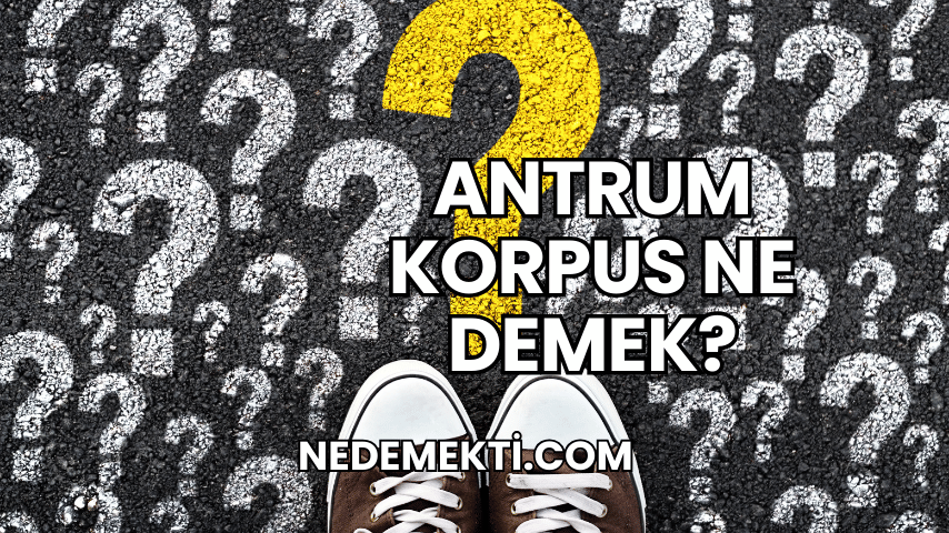 Antrum Korpus Ne Demek?