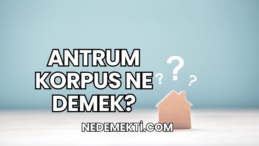 Antrum Korpus Ne Demek?