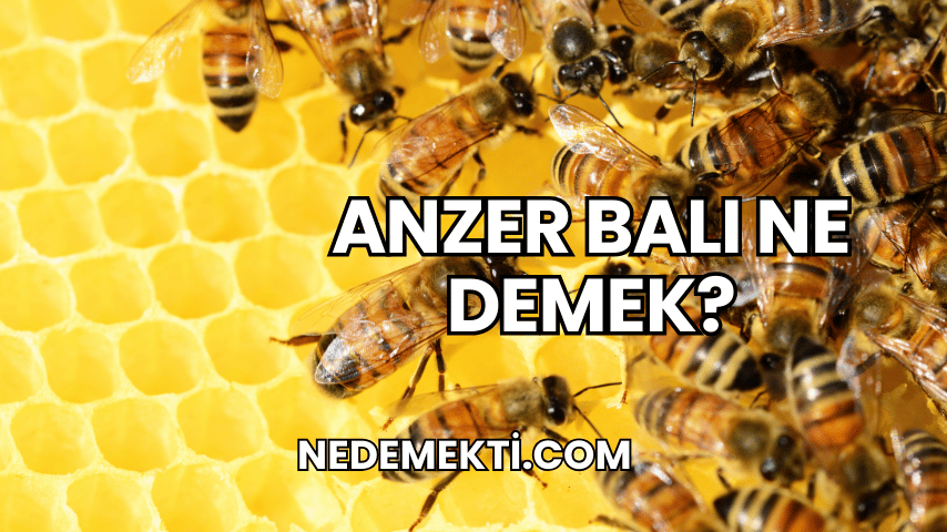 Anzer Balı Ne Demek?