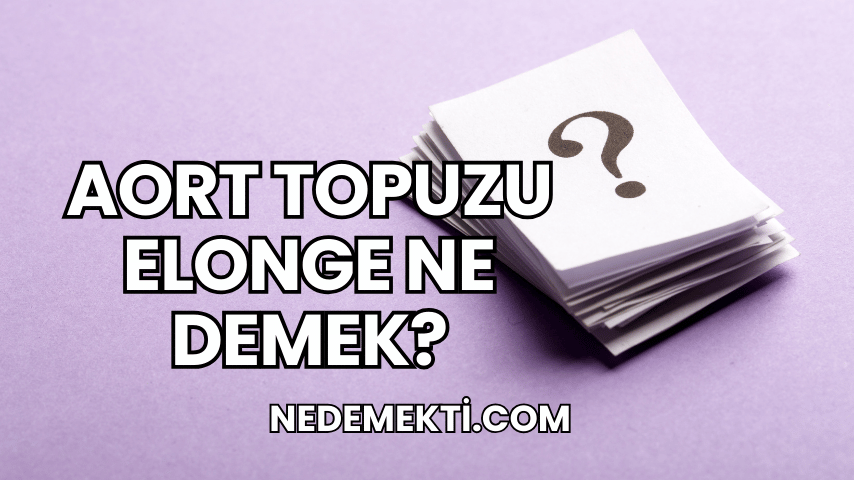 Aort Topuzu Elonge Ne Demek?