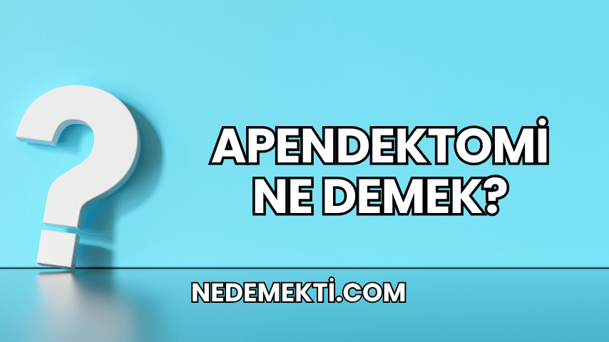 Apendektomi Ne Demek?