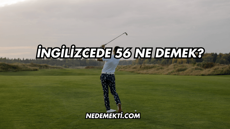 İngilizcede 56 Ne Demek?