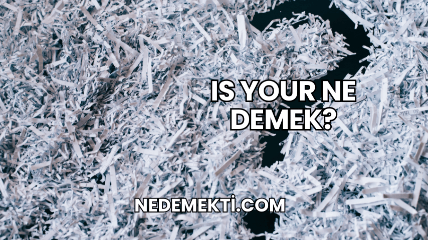 Is Your Ne Demek?